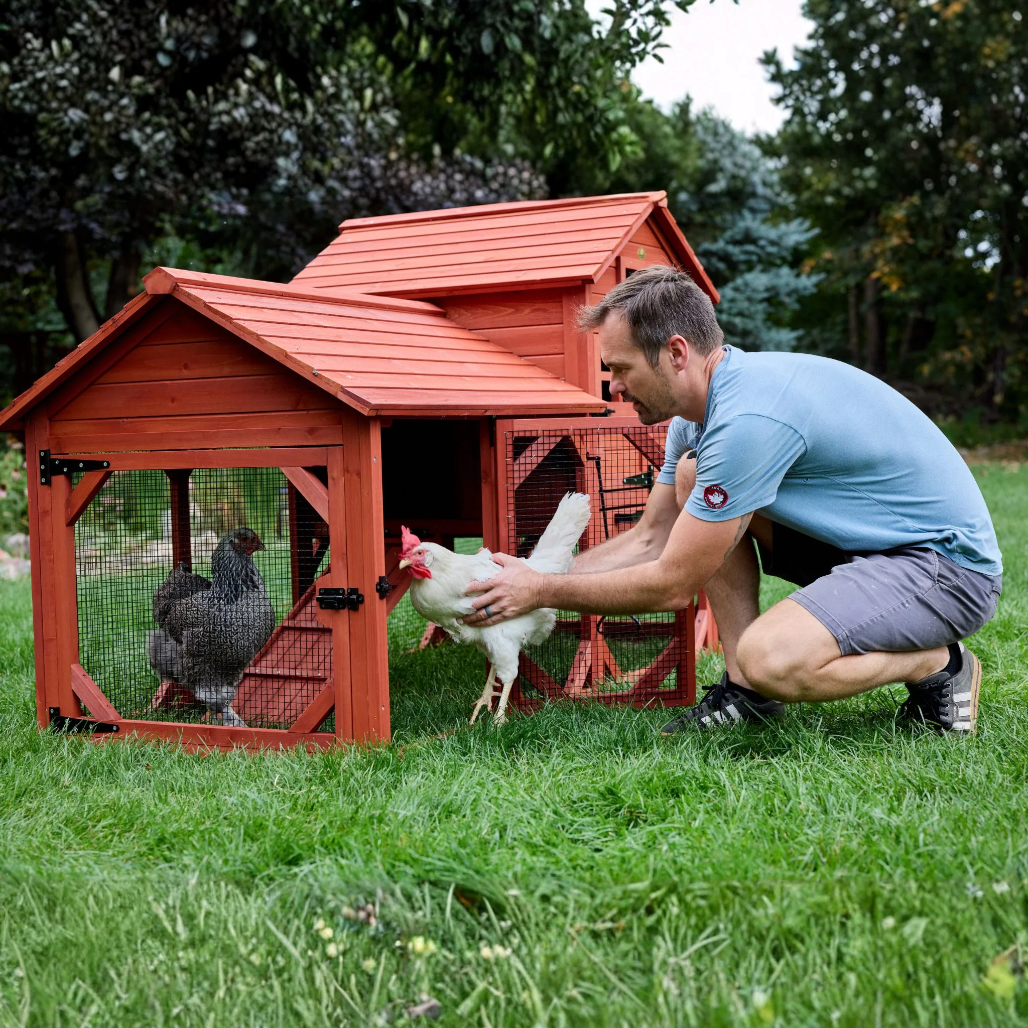 Chicken Coop for 4 Chickens – Leghorn Cottage Chicken Coop - Image 9