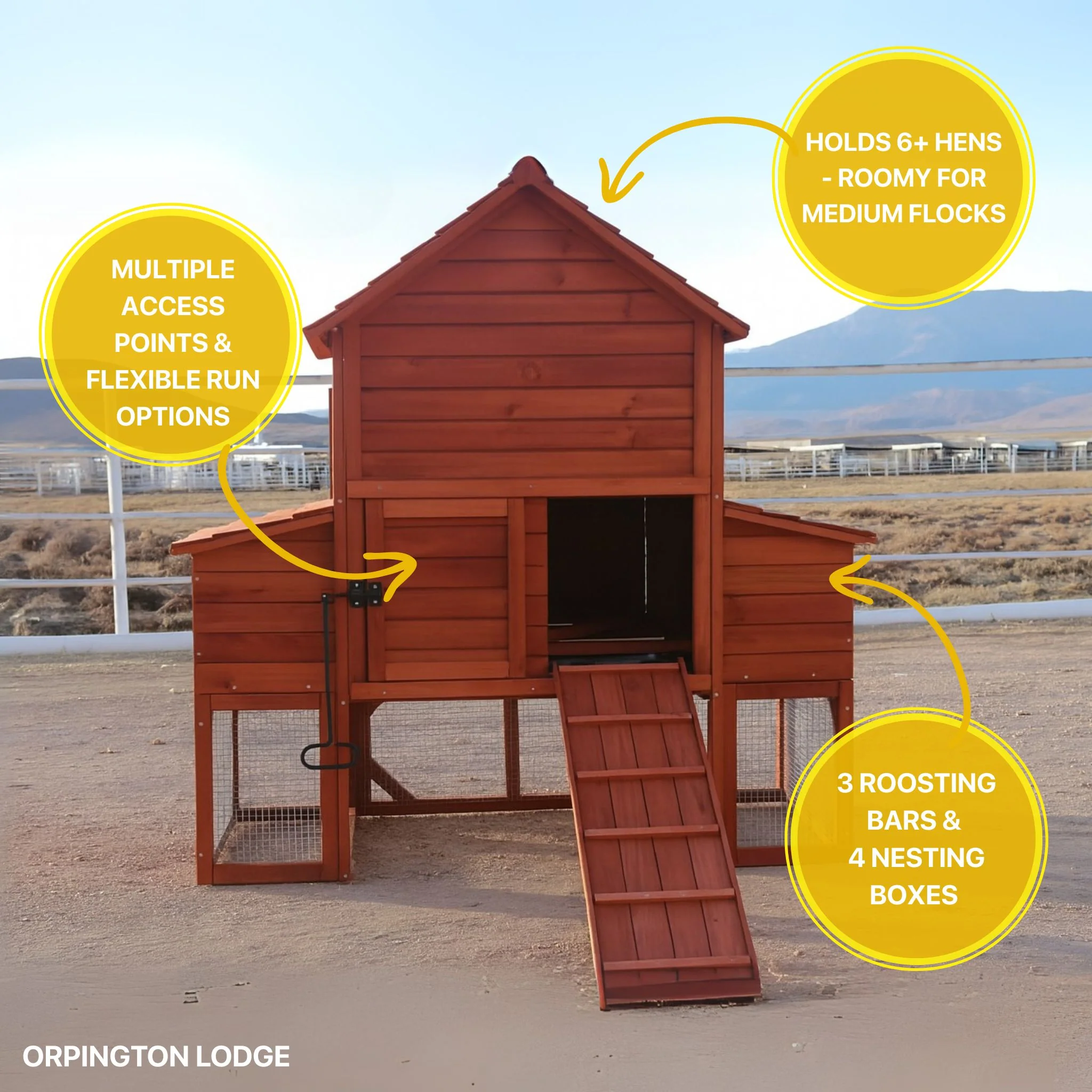 Chicken Coop for 6 Chickens – Orpington Lodge - Image 9