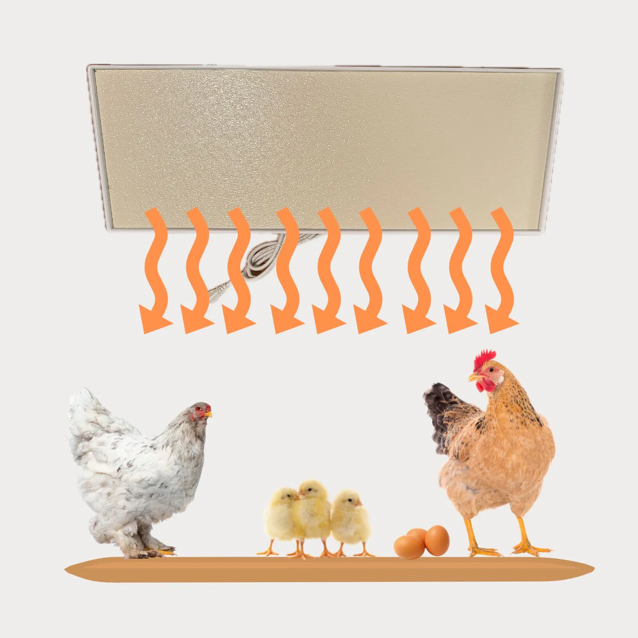 Chicken Coop Heater - Energy Efficient Radiant Heat - 3 Year Warranty - Image 3