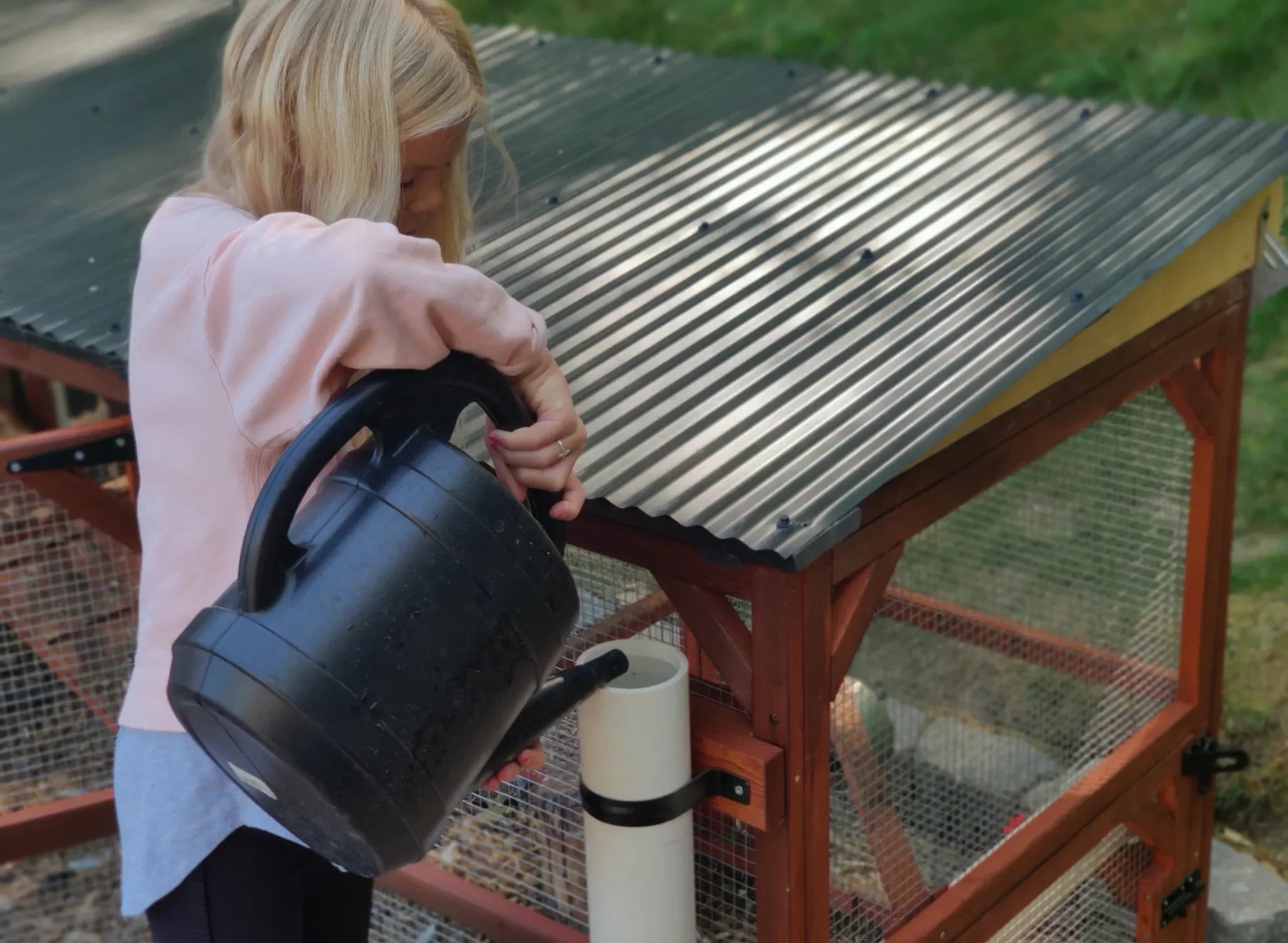 Chicken Waterer - Image 5