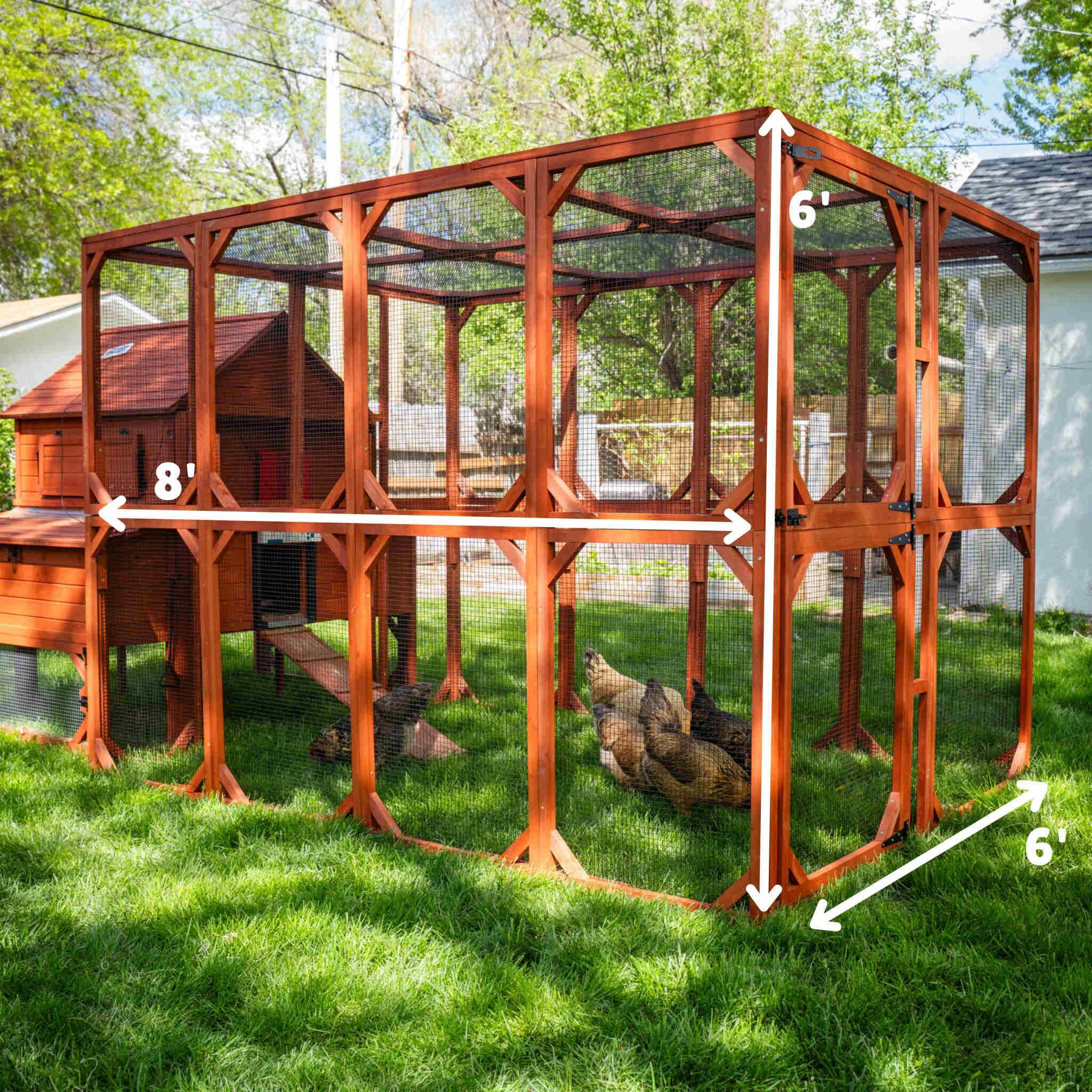 Chicken Coop for 10 Chickens – Rhode Island Homestead Coop with Run Extension Options - Image 22