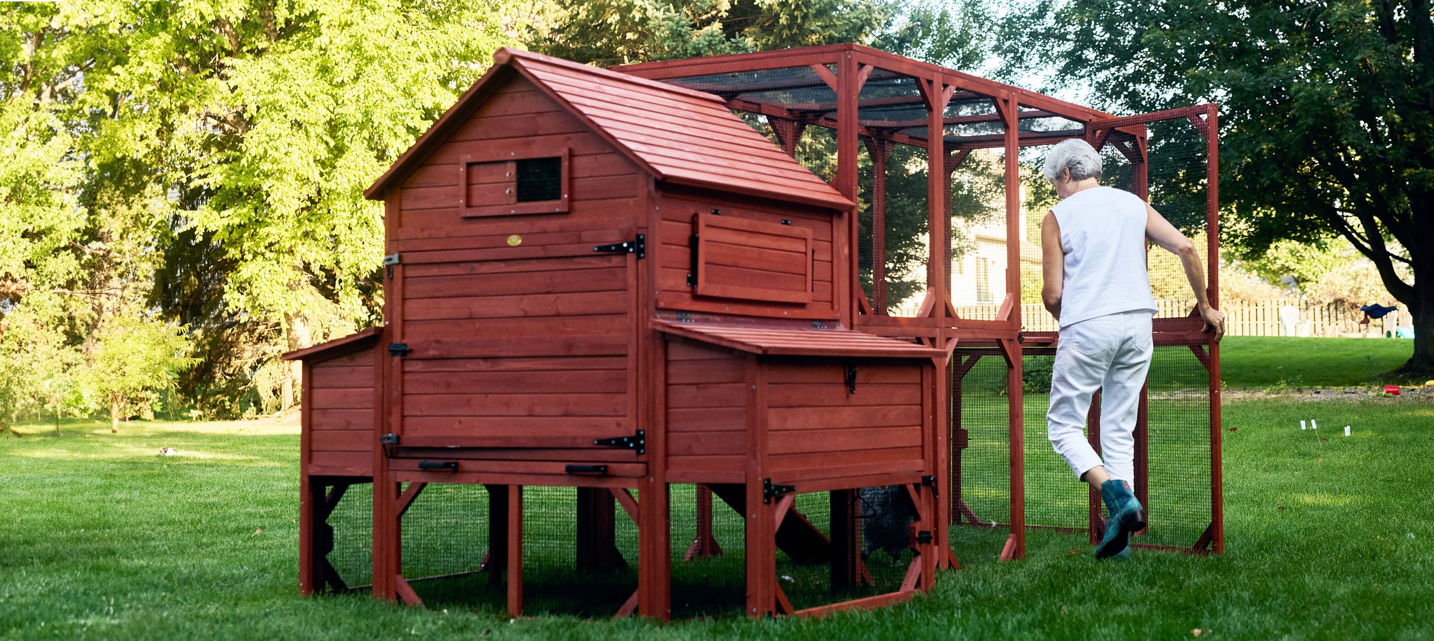 Chicken Coop for 10 Chickens - Rhode Island Homestead (Hen House Only) - Image 10