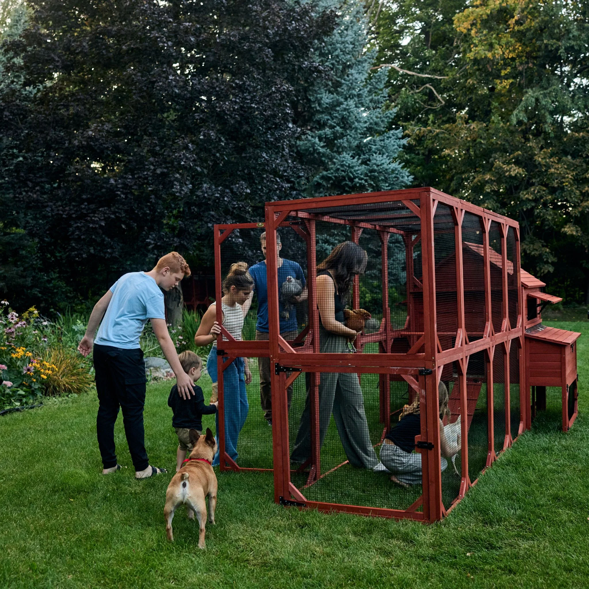 Chicken Coop for 10 Chickens - Rhode Island Homestead (Hen House Only) - Image 11