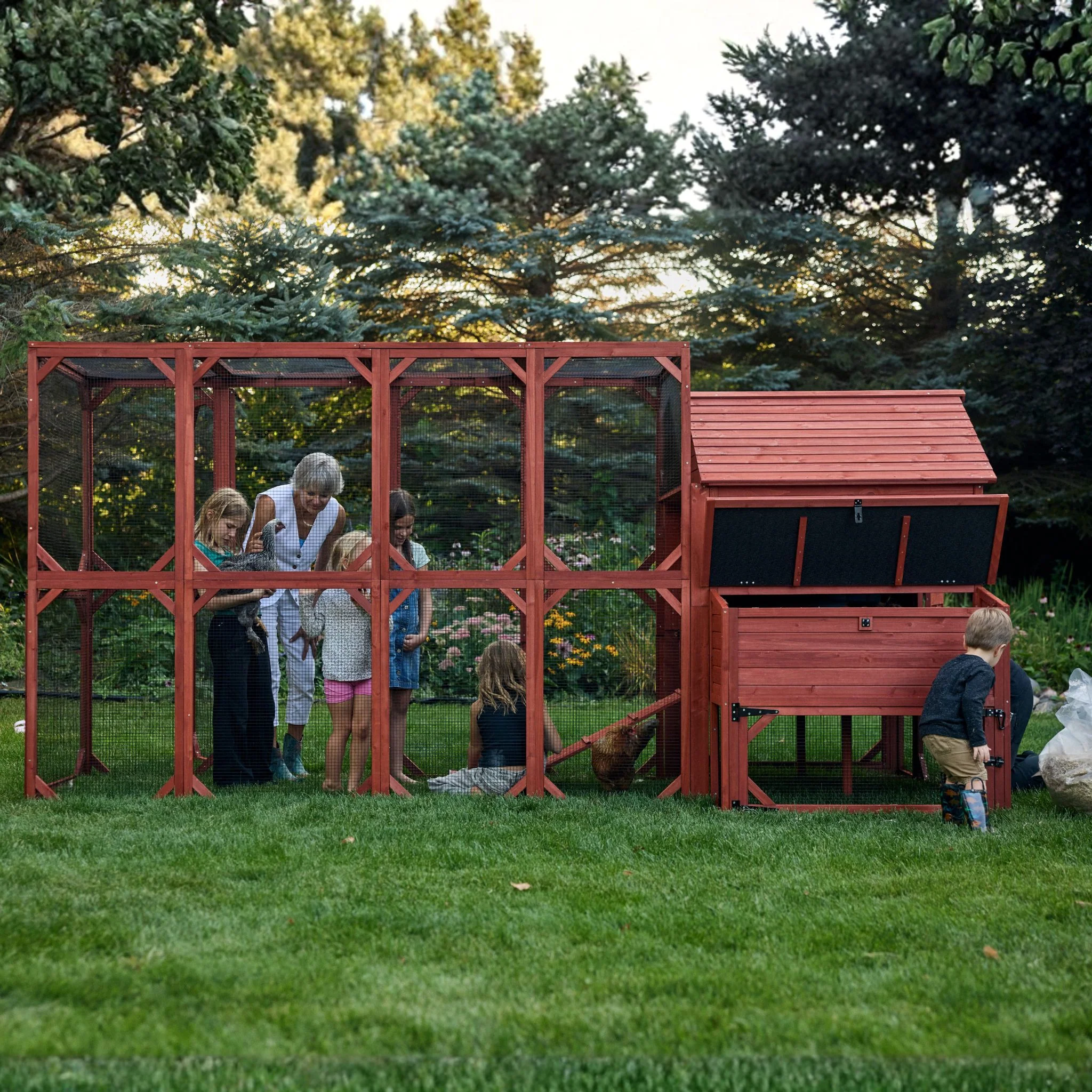 Chicken Coop for 10 Chickens - Rhode Island Homestead (Hen House Only) - Image 14