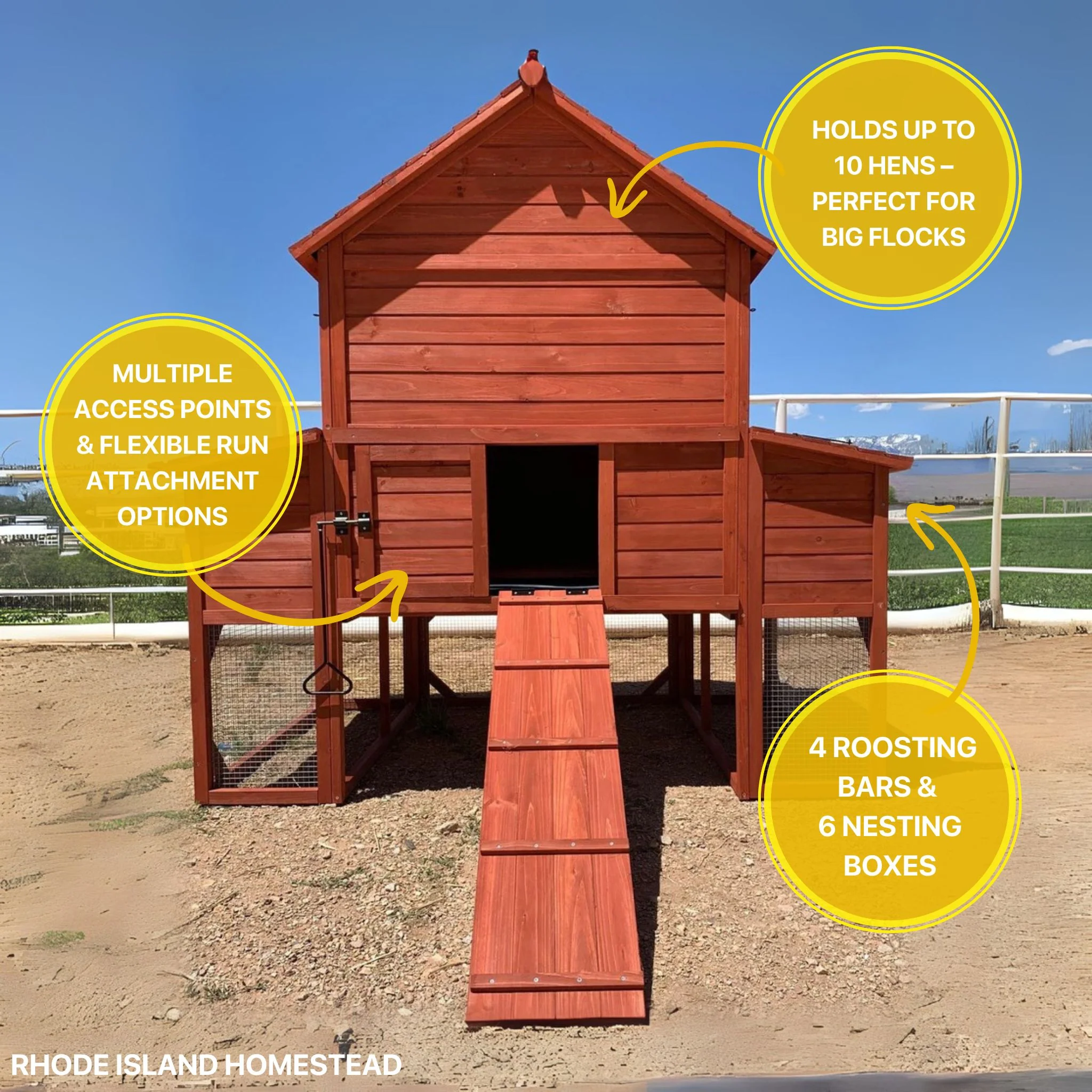 Chicken Coop for 10 Chickens - Rhode Island Homestead (Hen House Only) - Image 3