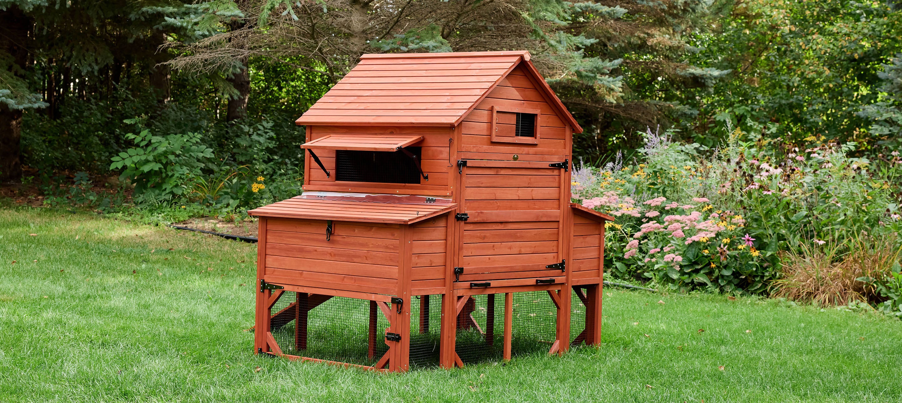 Chicken Coop for 10 Chickens - Rhode Island Homestead (Hen House Only) - Image 4