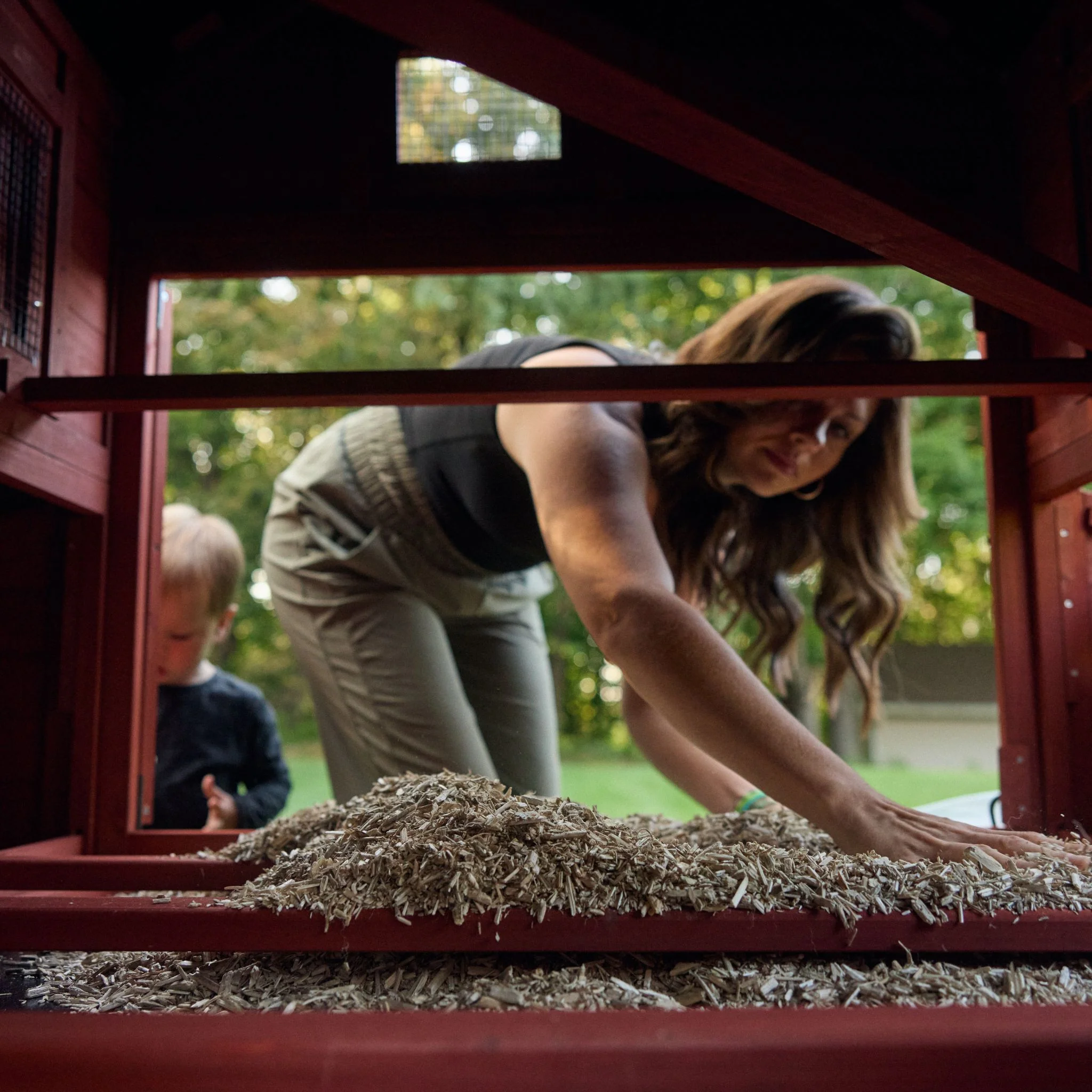 Chicken Coop for 10 Chickens - Rhode Island Homestead (Hen House Only) - Image 8